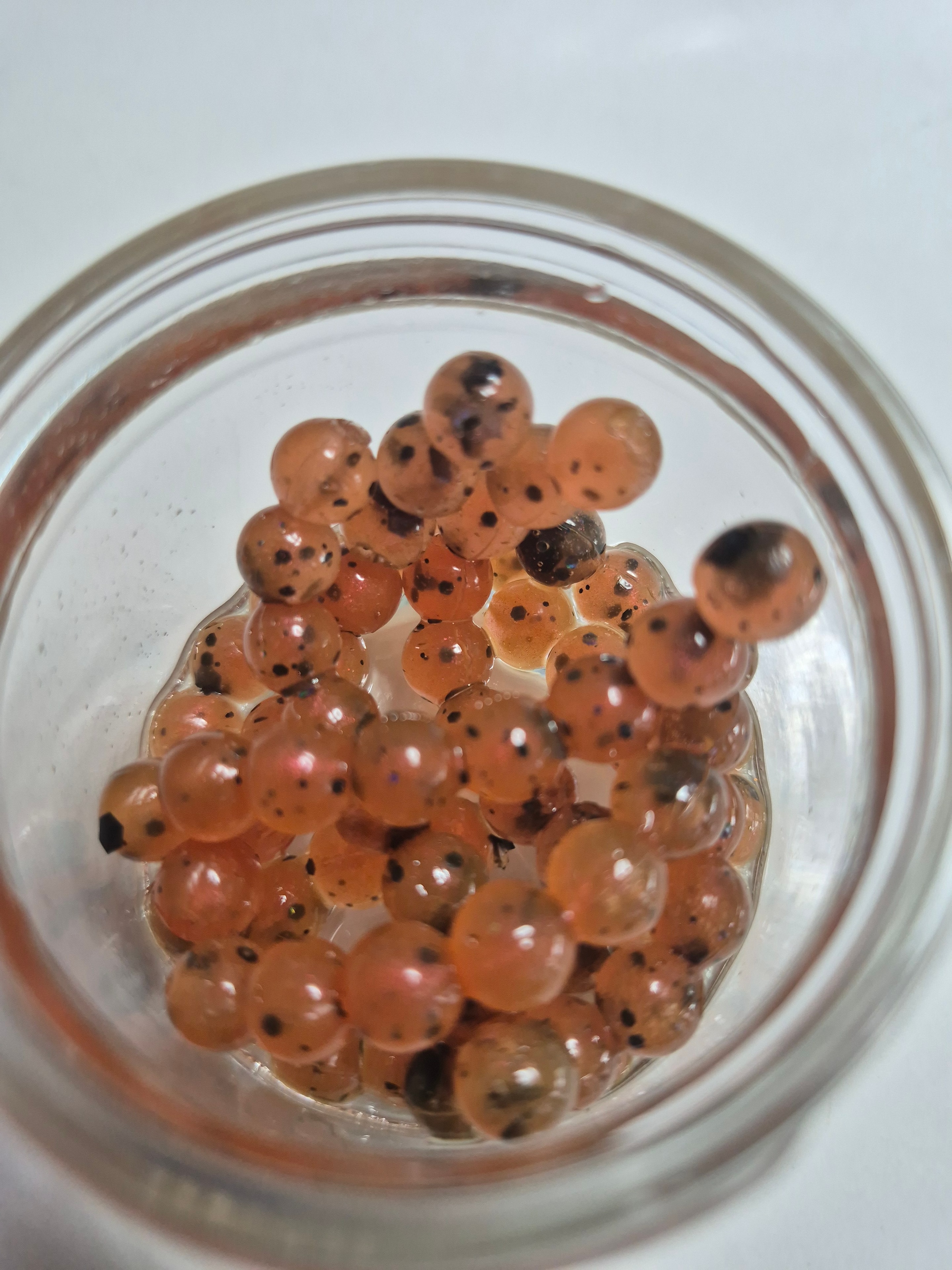 6mm Eggs